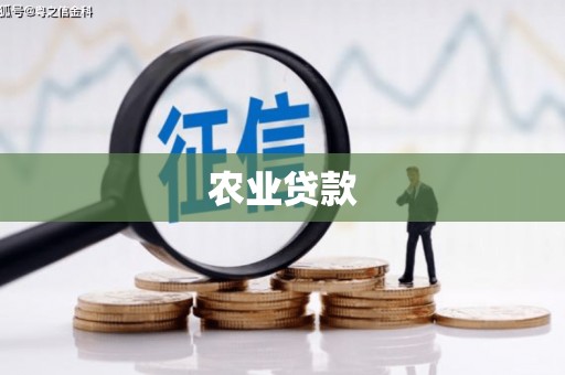 渭源农业贷款