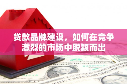 渭源贷款品牌建设，如何在竞争激烈的市场中脱颖而出
