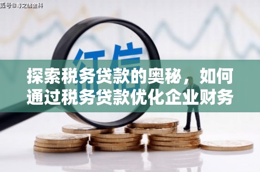 渭源探索税务贷款的奥秘，如何通过税务贷款优化企业财务