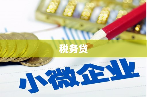 渭源税务贷