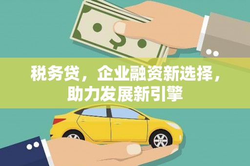 渭源税务贷，企业融资新选择，助力发展新引擎