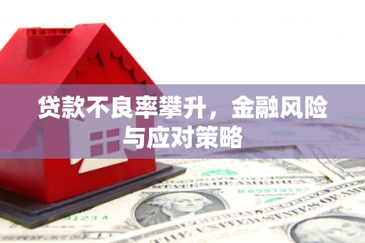 渭源贷款不良率攀升，金融风险与应对策略