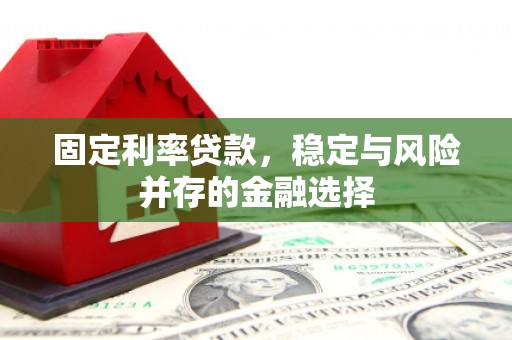 渭源固定利率贷款，稳定与风险并存的金融选择