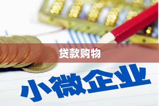 渭源贷款购物