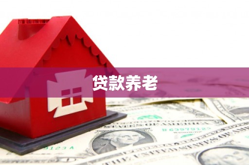 渭源贷款养老