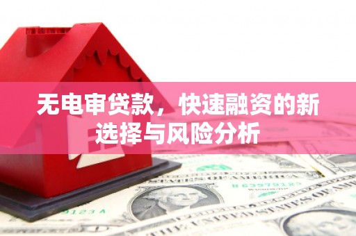 渭源无电审贷款，快速融资的新选择与风险分析