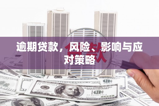 渭源逾期贷款，风险、影响与应对策略