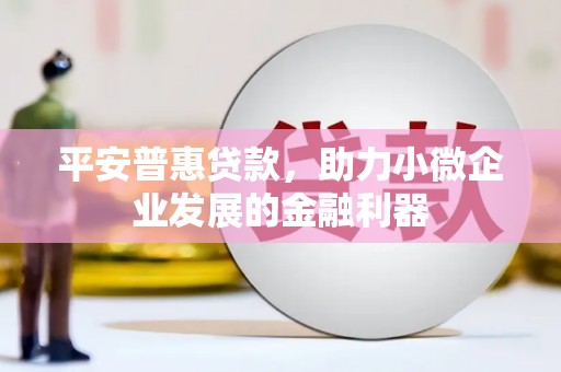 渭源平安普惠贷款，助力小微企业发展的金融利器