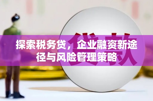 渭源探索税务贷，企业融资新途径与风险管理策略
