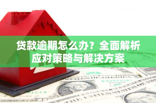 渭源贷款逾期怎么办？全面解析应对策略与解决方案