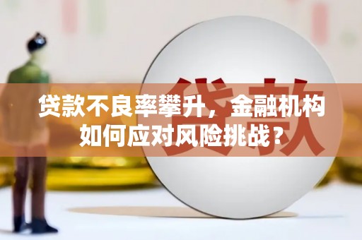渭源贷款不良率攀升，金融机构如何应对风险挑战？