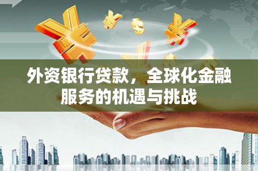 渭源外资银行贷款，全球化金融服务的机遇与挑战