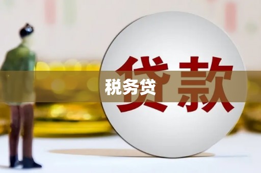 渭源税务贷