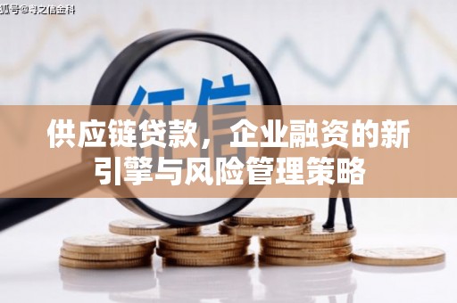 渭源供应链贷款，企业融资的新引擎与风险管理策略