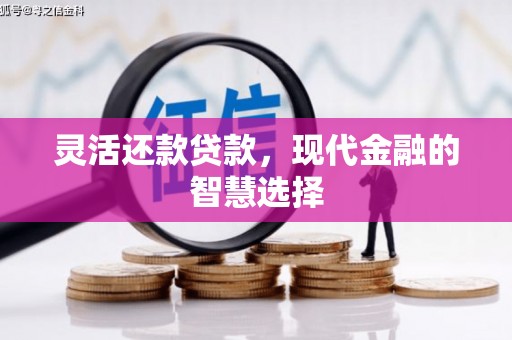 渭源灵活还款贷款，现代金融的智慧选择