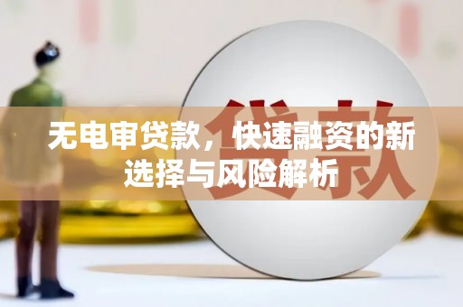 渭源无电审贷款，快速融资的新选择与风险解析