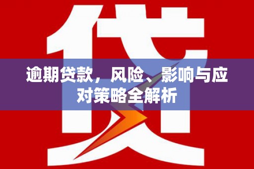 渭源逾期贷款，风险、影响与应对策略全解析