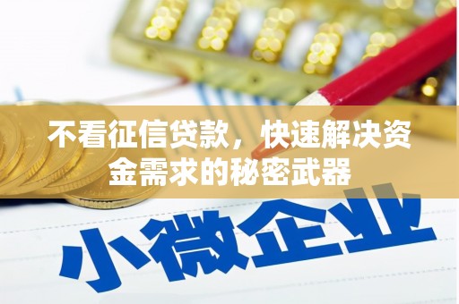渭源不看征信贷款，快速解决资金需求的秘密武器