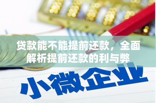渭源贷款能不能提前还款，全面解析提前还款的利与弊