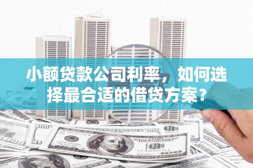 渭源小额贷款公司利率，如何选择最合适的借贷方案？