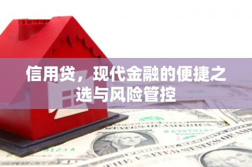 渭源信用贷，现代金融的便捷之选与风险管控