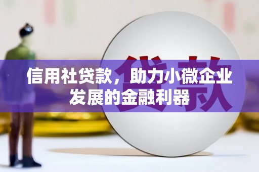 渭源信用社贷款，助力小微企业发展的金融利器