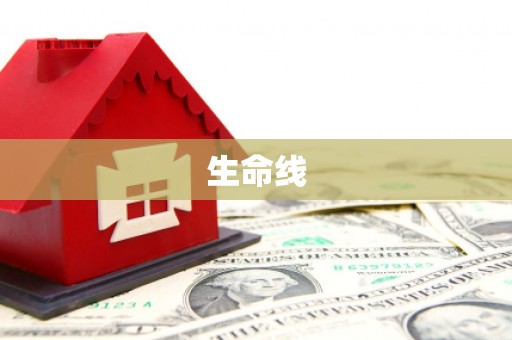 渭源生命线