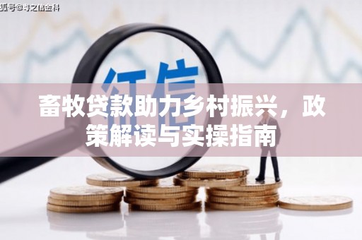 渭源畜牧贷款助力乡村振兴，政策解读与实操指南