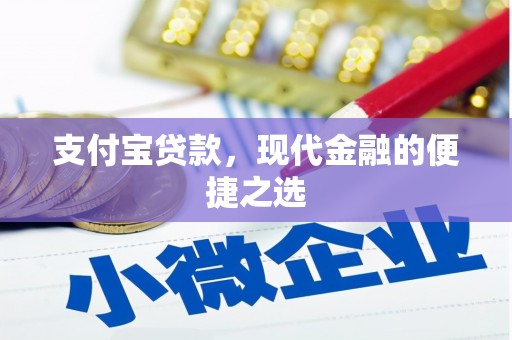渭源支付宝贷款，现代金融的便捷之选