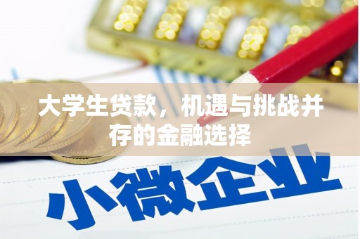 渭源大学生贷款，机遇与挑战并存的金融选择