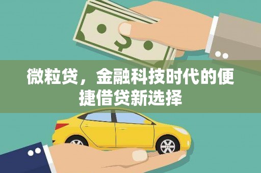 渭源微粒贷，金融科技时代的便捷借贷新选择