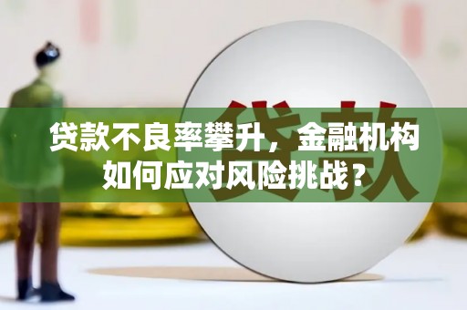 渭源贷款不良率攀升，金融机构如何应对风险挑战？