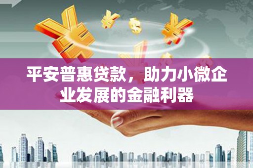 渭源平安普惠贷款，助力小微企业发展的金融利器
