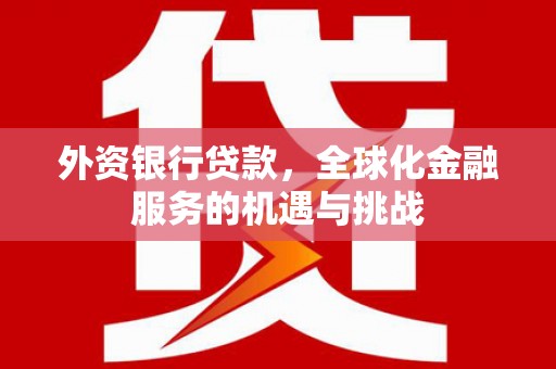 渭源外资银行贷款，全球化金融服务的机遇与挑战