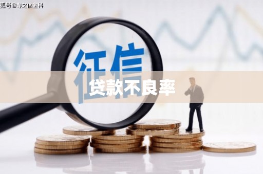 渭源贷款不良率