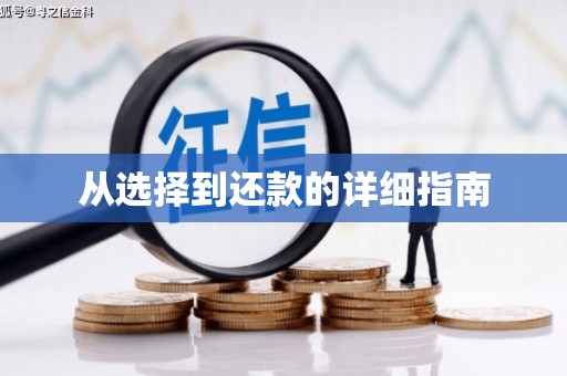 渭源从选择到还款的详细指南