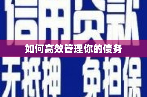 渭源如何高效管理你的债务