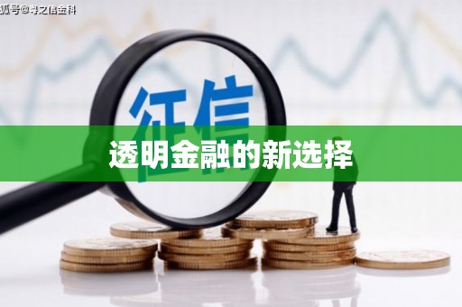渭源透明金融的新选择