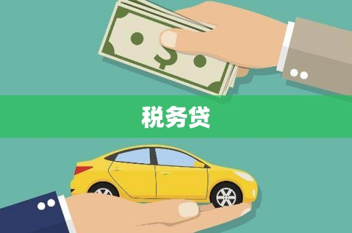 渭源税务贷
