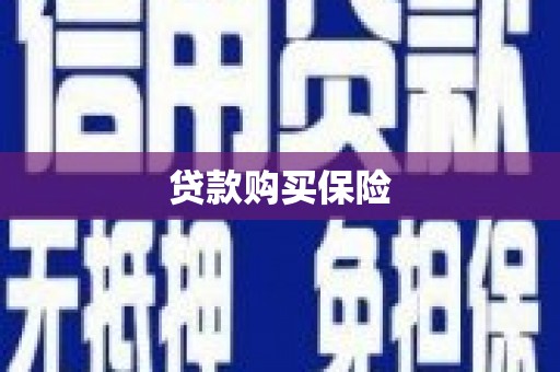 渭源贷款购买保险