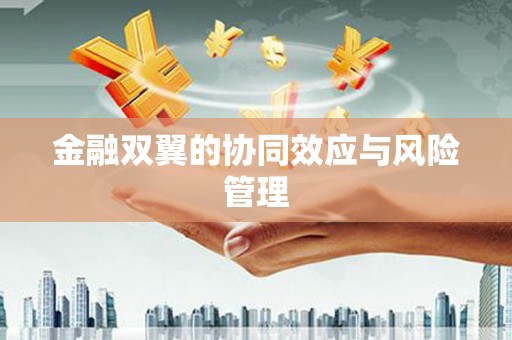 渭源金融双翼的协同效应与风险管理