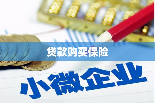 渭源贷款购买保险