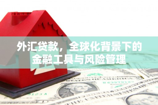 渭源外汇贷款，全球化背景下的金融工具与风险管理