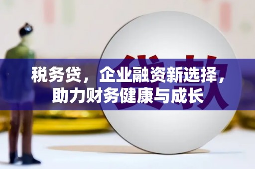 渭源税务贷，企业融资新选择，助力财务健康与成长