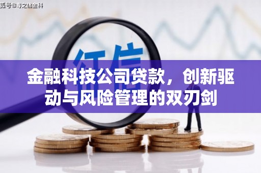 渭源金融科技公司贷款，创新驱动与风险管理的双刃剑