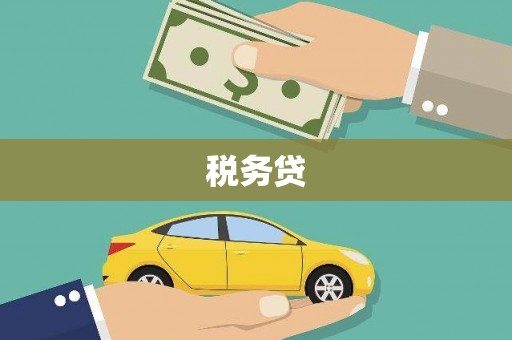 渭源税务贷